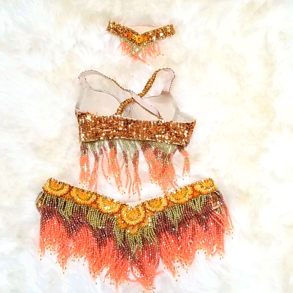 Samba / Belly Dance Costume View 2